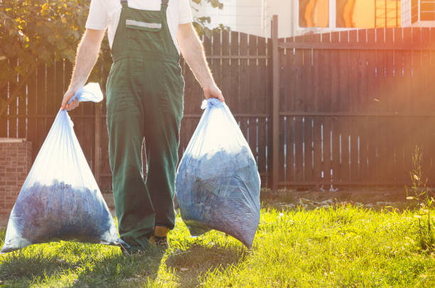 Best Affordable Junk Removal Services  in Benwood, WV