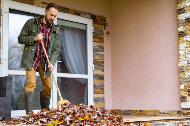 Best Junk Removal Near Me  in Benwood, WV